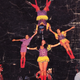 Circus-India-history